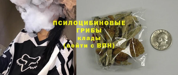 первитин Лабытнанги