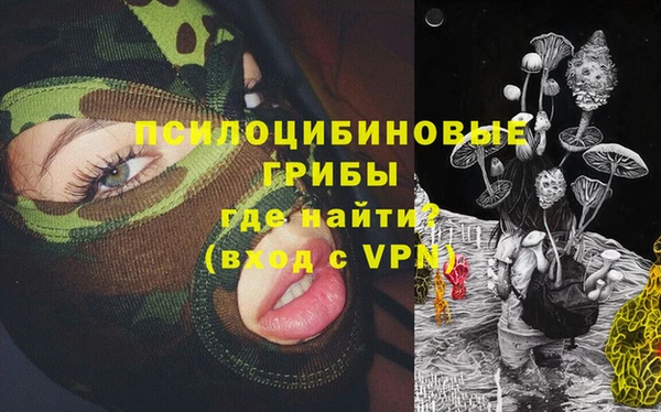 герыч Ладушкин