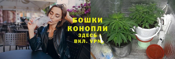 герыч Ладушкин