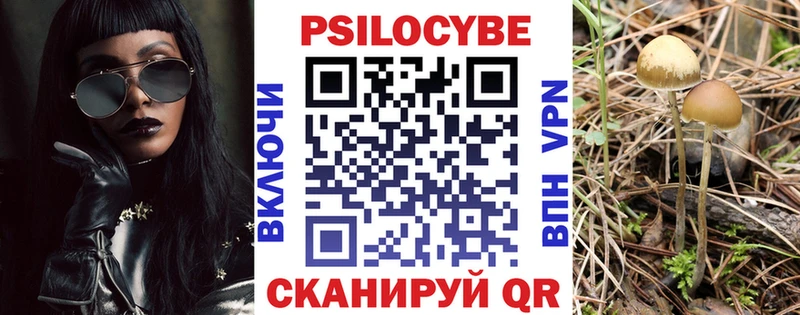 Галлюциногенные грибы MAGIC MUSHROOMS  Купить  Владивосток 